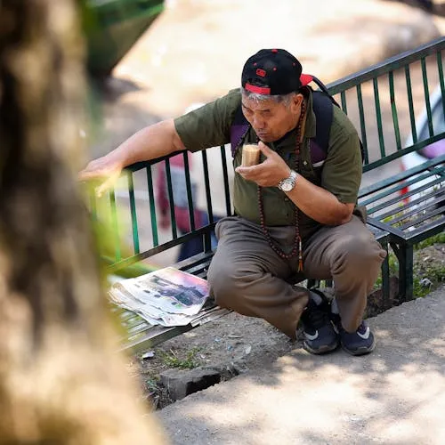 Mai Anh Việt avatar
